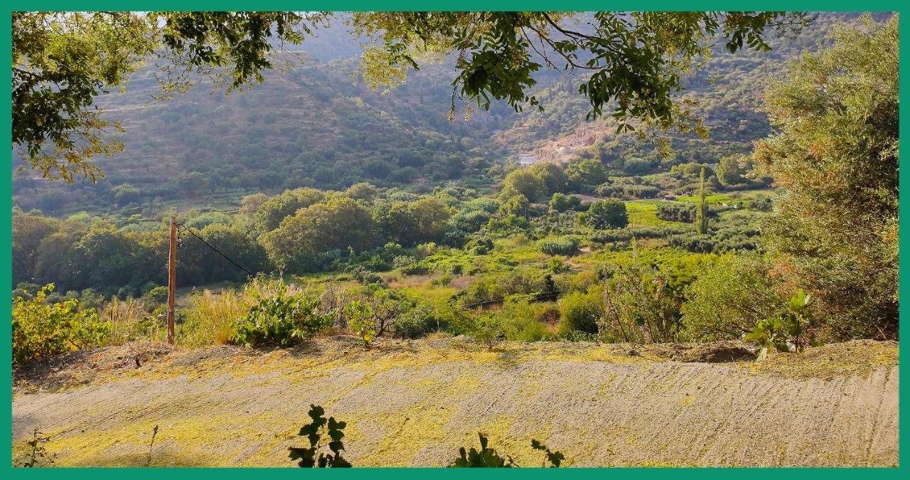 Апартаменти Kampos View Ikaria Евділос Екстер'єр фото