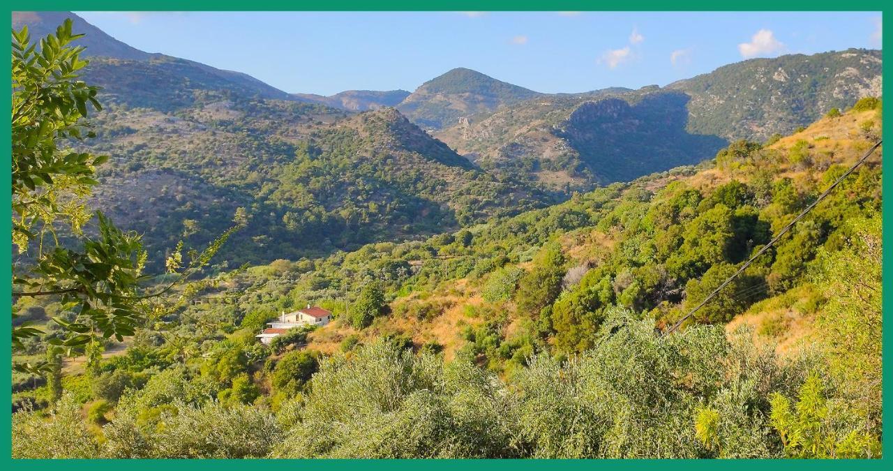 Апартаменти Kampos View Ikaria Евділос Екстер'єр фото