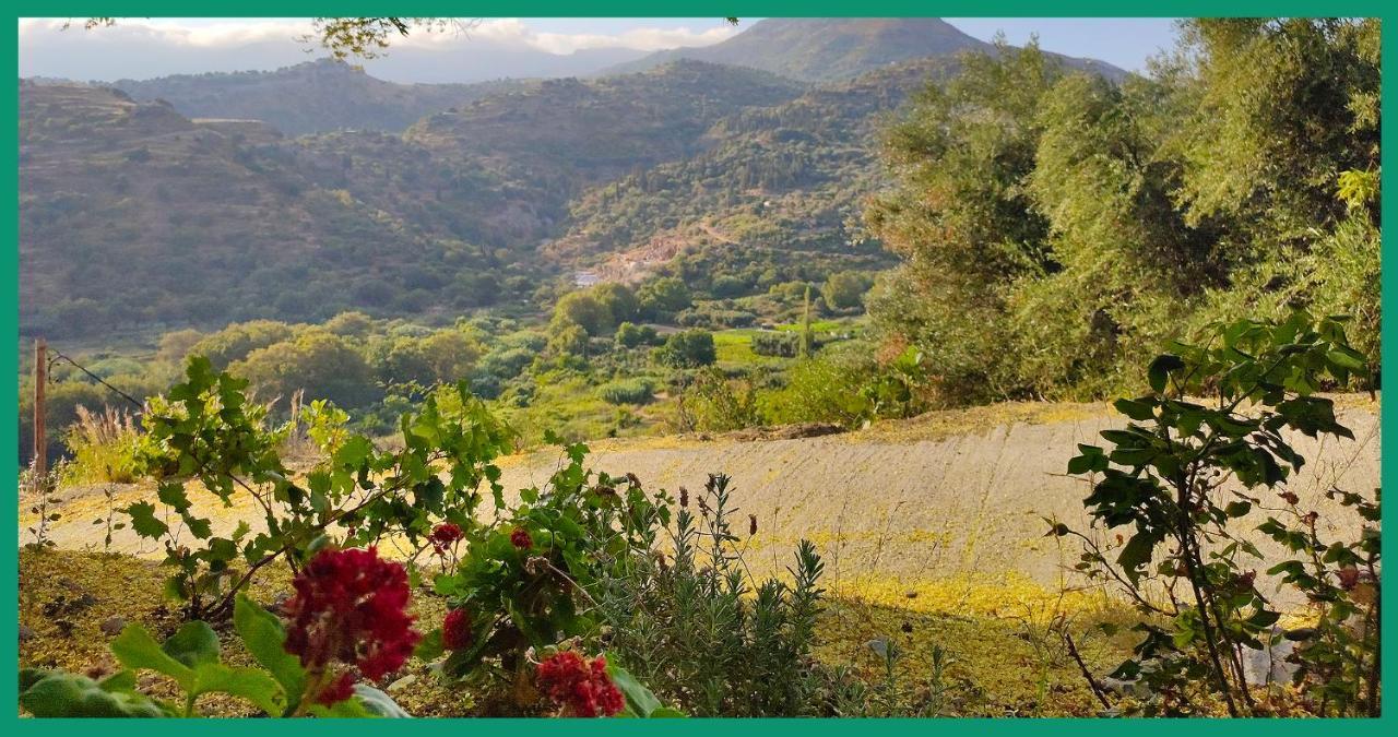 Апартаменти Kampos View Ikaria Евділос Екстер'єр фото