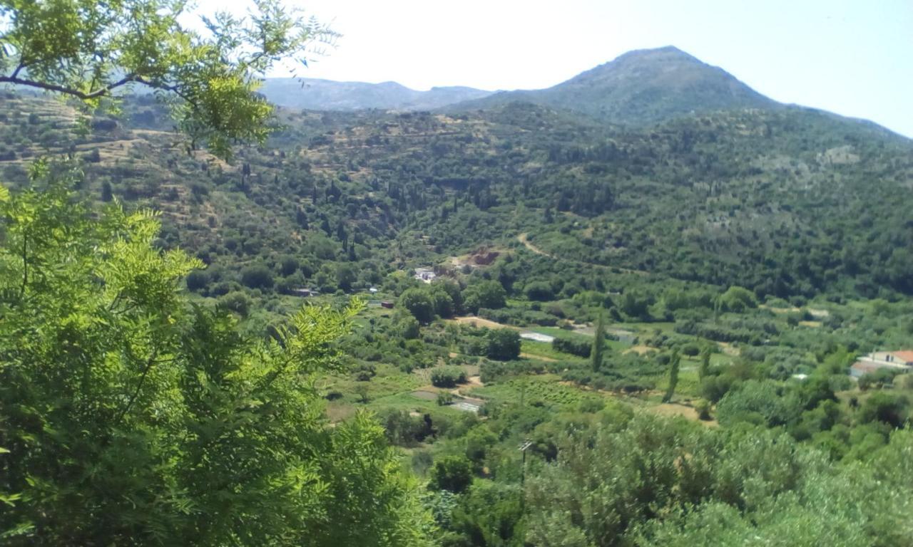 Апартаменти Kampos View Ikaria Евділос Екстер'єр фото